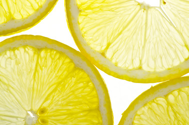 Similar image 1646427