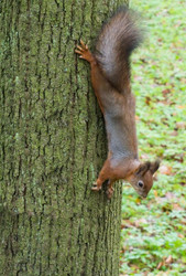 Similar image 1646519