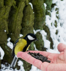 Similar image 1646527