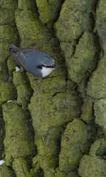 Similar image 1646528