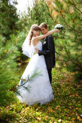 Similar image 1646560