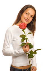 Similar image 1646564