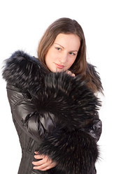 Similar image 1646565