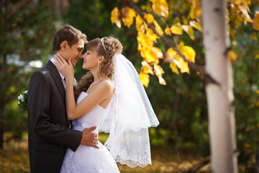 Similar image 1646571