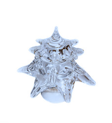 Similar image 1646578