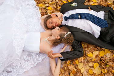 Similar image 1646581