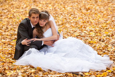 Similar image 1646583