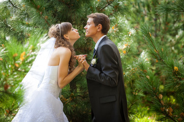 Similar image 1646588