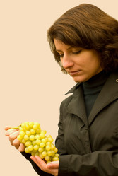 Similar image 1646615