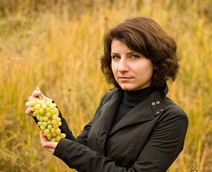 Similar image 1646616