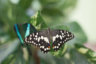 Similar image 1646659