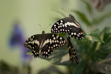 Similar image 1646660