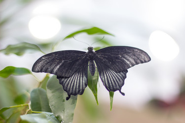 Similar image 1646663