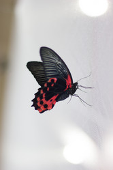 Similar image 1646667