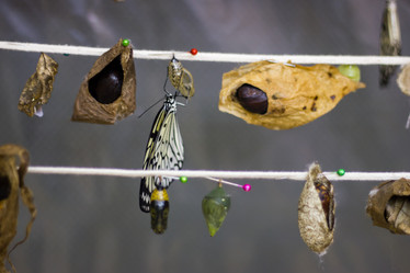 Similar image 1646668