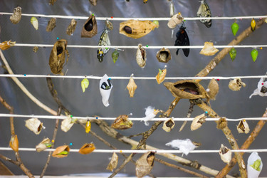 Similar image 1646671