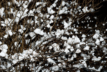 Similar image 1646677