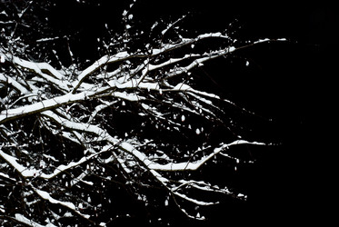 Similar image 1646678