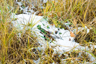 Similar image 1646680