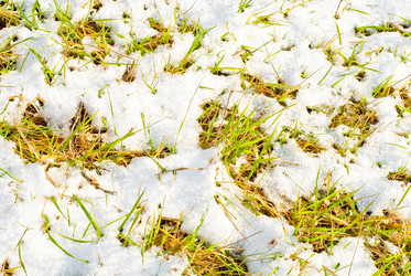 Similar image 1646681