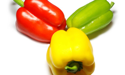 Similar image 1646682