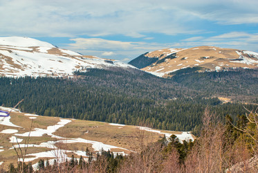 Similar image 1646691