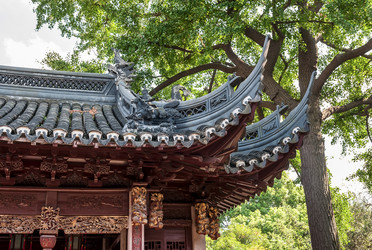 Similar image 1646701