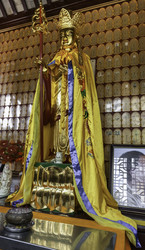 Similar image 1646722