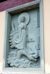 Similar image 1646728