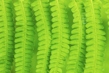 Similar image 1646795