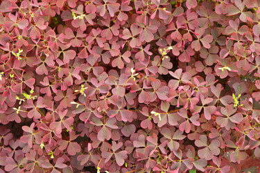 Similar image 1646807