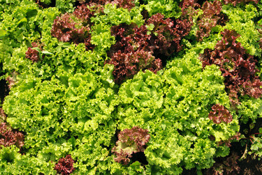 Similar image 1646809