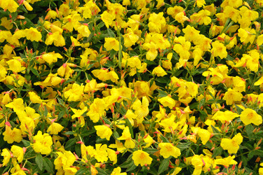 Similar image 1646810