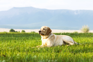 Similar image 1646811