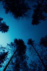 Similar image 1646814