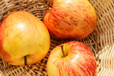 Similar image 1646830