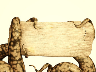 Similar image 1646839