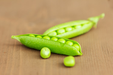 Similar image 1646844