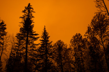 Similar image 1646846