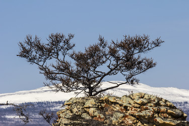 Similar image 1646860