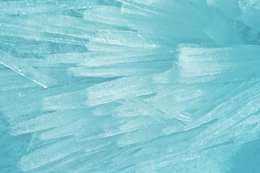 Similar image 1646869