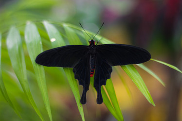 Similar image 1646910