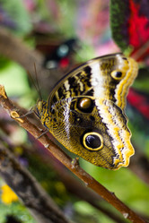 Similar image 1646911