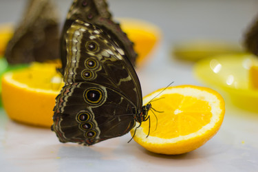 Similar image 1646912