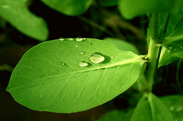 Similar image 1646918