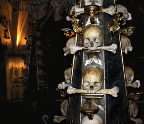 Similar image 1646921