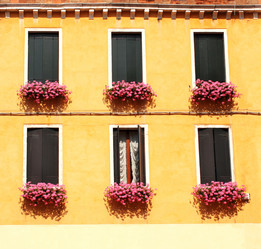 Similar image 1646922