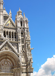 Similar image 1646923