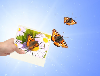 Similar image 1646925