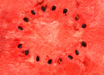 Similar image 1646939